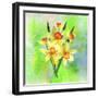 Daffodil Flowers-Ata Alishahi-Framed Giclee Print