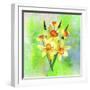 Daffodil Flowers-Ata Alishahi-Framed Giclee Print