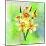 Daffodil Flowers-Ata Alishahi-Mounted Giclee Print