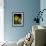 Daffodil in Bloom, New York, New York, USA-Paul Sutton-Framed Photographic Print displayed on a wall