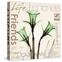 Daffodil Life-Albert Koetsier-Stretched Canvas