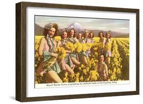 Daffodil Maidens, Puyallup Valley, Washington-null-Framed Art Print