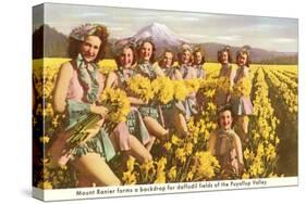 Daffodil Maidens, Puyallup Valley, Washington-null-Stretched Canvas