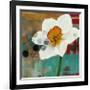 Daffodil Mannerisms-Jennifer Rasmusson-Framed Art Print