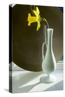 Daffodil Plate-Charles Bowman-Stretched Canvas