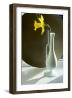 Daffodil Plate-Charles Bowman-Framed Photographic Print