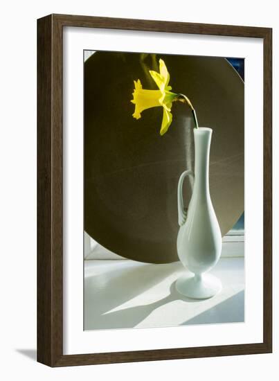 Daffodil Plate-Charles Bowman-Framed Photographic Print