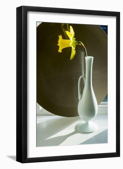 Daffodil Plate-Charles Bowman-Framed Photographic Print