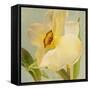 Daffodil Sky II-Lanie Loreth-Framed Stretched Canvas