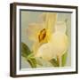 Daffodil Sky II-Lanie Loreth-Framed Art Print