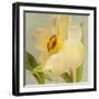 Daffodil Sky II-Lanie Loreth-Framed Art Print