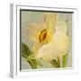 Daffodil Sky II-Lanie Loreth-Framed Art Print