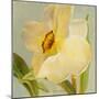 Daffodil Sky II-Lanie Loreth-Mounted Art Print