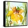 Daffodil-Dawn Derman-Framed Stretched Canvas