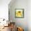 Daffodil-Dawn Derman-Framed Stretched Canvas displayed on a wall