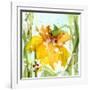 Daffodil-Dawn Derman-Framed Art Print