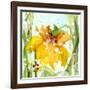 Daffodil-Dawn Derman-Framed Art Print