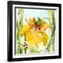 Daffodil-Dawn Derman-Framed Art Print