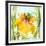 Daffodil-Dawn Derman-Framed Art Print