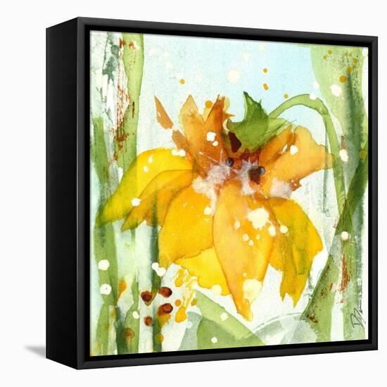 Daffodil-Dawn Derman-Framed Stretched Canvas