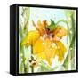 Daffodil-Dawn Derman-Framed Stretched Canvas