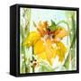 Daffodil-Dawn Derman-Framed Stretched Canvas