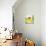 Daffodil-Dawn Derman-Stretched Canvas displayed on a wall