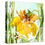 Daffodil-Dawn Derman-Stretched Canvas