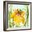 Daffodil-Dawn Derman-Framed Art Print