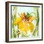 Daffodil-Dawn Derman-Framed Art Print