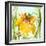 Daffodil-Dawn Derman-Framed Art Print