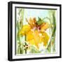 Daffodil-Dawn Derman-Framed Art Print