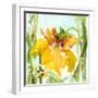 Daffodil-Dawn Derman-Framed Art Print