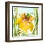 Daffodil-Dawn Derman-Framed Art Print