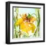 Daffodil-Dawn Derman-Framed Art Print