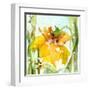 Daffodil-Dawn Derman-Framed Art Print