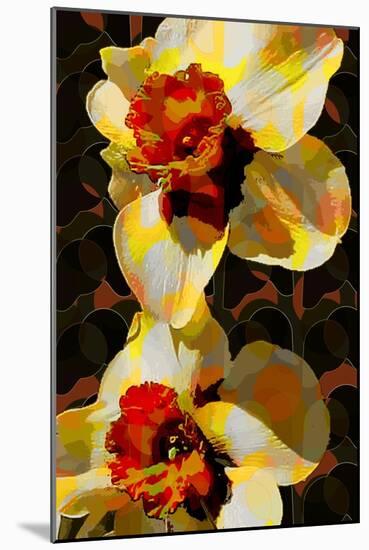 Daffodil-Scott J. Davis-Mounted Giclee Print