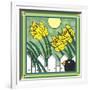 Daffodils 2 with Kernal the Crow-Denny Driver-Framed Giclee Print