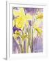 Daffodils, 2004-Claudia Hutchins-Puechavy-Framed Giclee Print