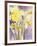 Daffodils, 2004-Claudia Hutchins-Puechavy-Framed Giclee Print