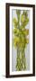 Daffodils,2008,-Joan Thewsey-Framed Giclee Print