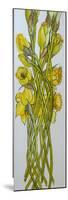 Daffodils,2008,-Joan Thewsey-Mounted Giclee Print
