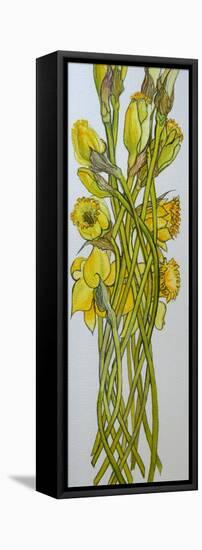 Daffodils,2008,-Joan Thewsey-Framed Stretched Canvas