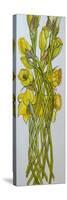 Daffodils,2008,-Joan Thewsey-Stretched Canvas