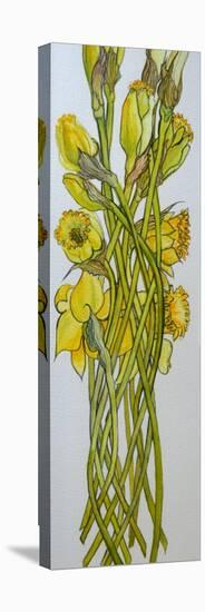 Daffodils,2008,-Joan Thewsey-Stretched Canvas