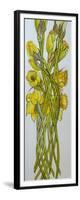 Daffodils,2008,-Joan Thewsey-Framed Giclee Print