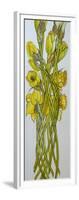 Daffodils,2008,-Joan Thewsey-Framed Giclee Print