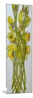 Daffodils,2008,-Joan Thewsey-Mounted Giclee Print