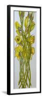 Daffodils,2008,-Joan Thewsey-Framed Premium Giclee Print