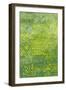 Daffodils, 2012-Leigh Glover-Framed Giclee Print